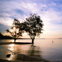 ddos在线攻击平台